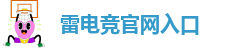 雷电竞raybet下载地址